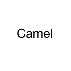 Camel Filter Yellow 20pk