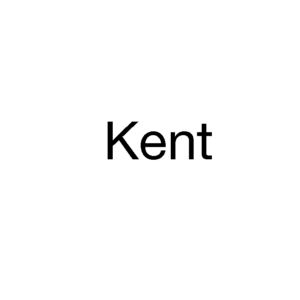 Kent Surround 100'S 20pk